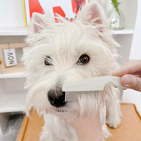 Heavy Duty Stainless Steel Pet Flea Comb