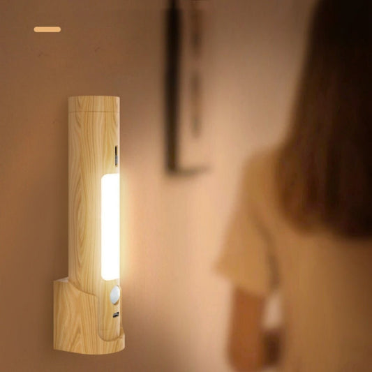 Smart Charging Induction Lamp